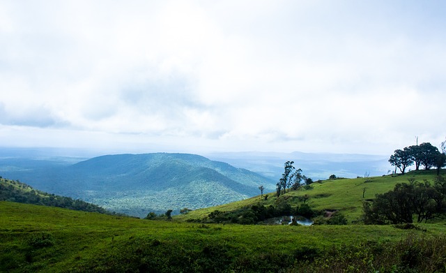 从此开启了 从此开启了