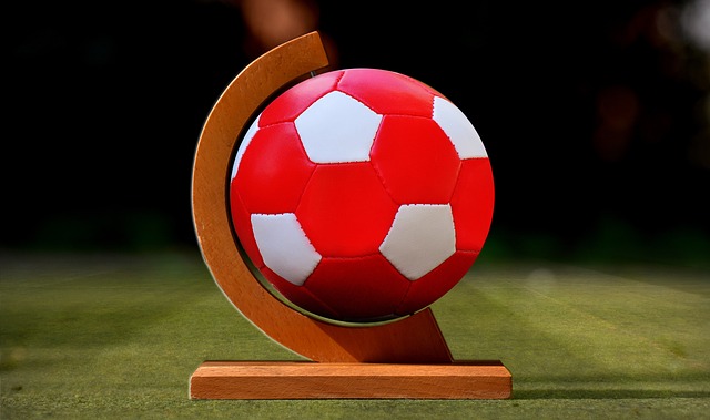 我们不仅有 我们不仅有