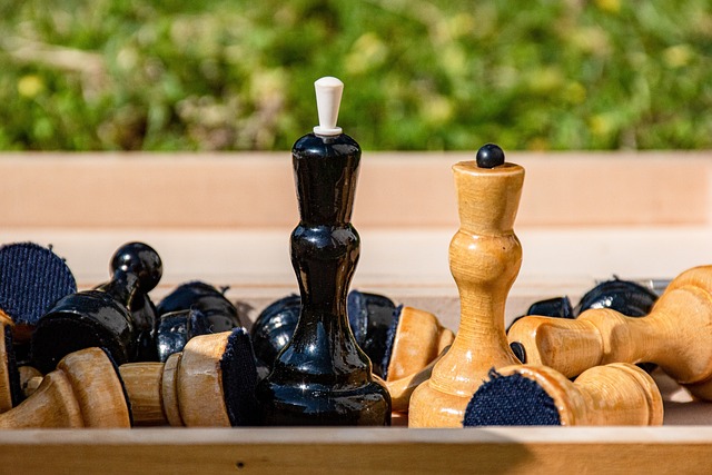 全面开花 全面开花