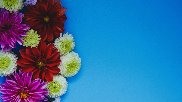 黑马搅局 黑马搅局