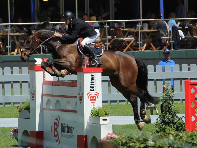 目已覆盖了 目已覆盖了